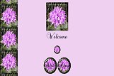 Purple Flower Set