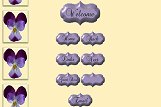 Viola Set